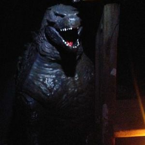 Meet your Posher, Kelley